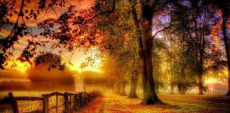 L’ouverture ramène à la neutralité